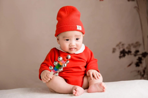 广州代怀供卵公司九个月的宝宝 广州代怀供卵公司九个月的宝宝